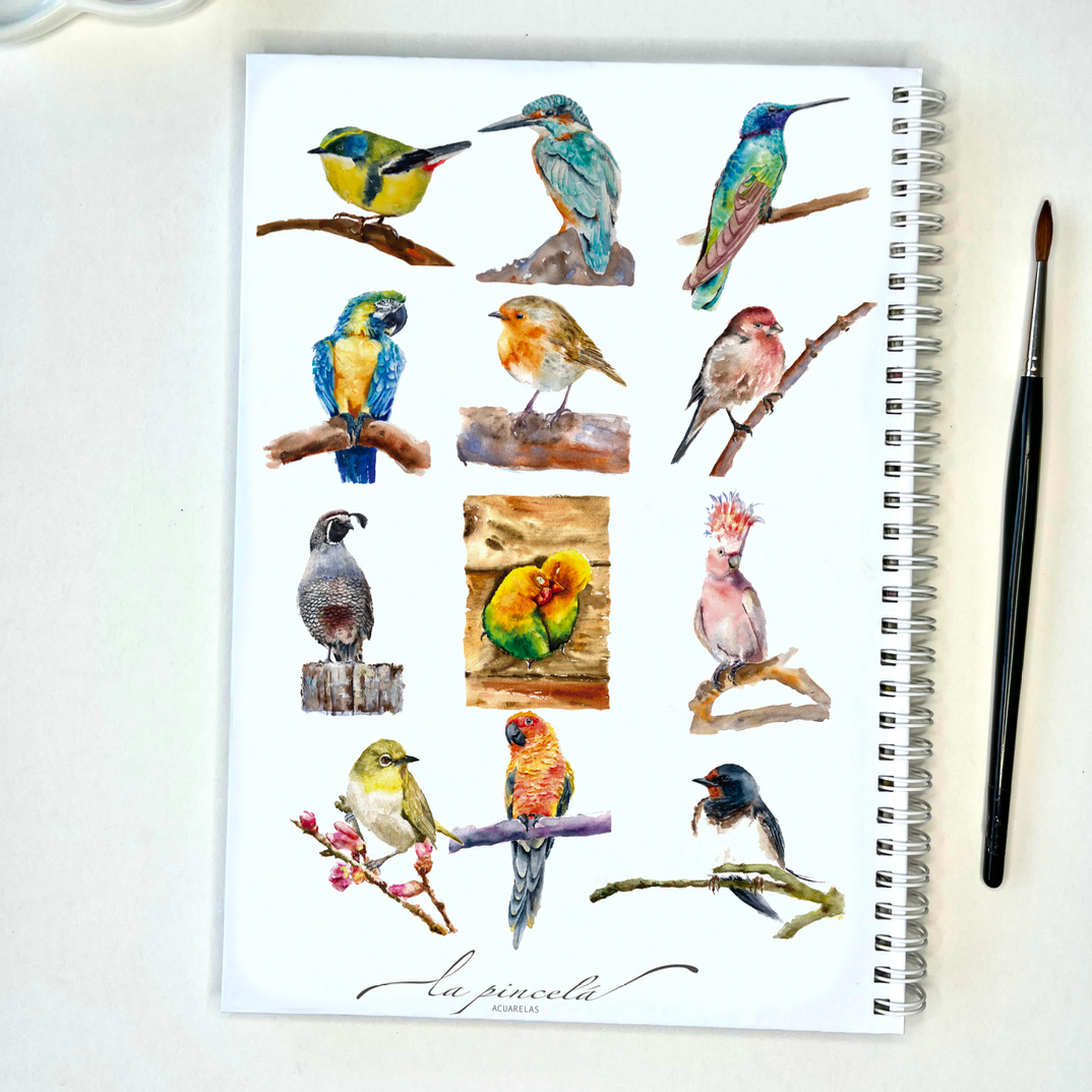Aves – Libro de acuarela para pintar paso a paso - PREVENTA ABIERTA!