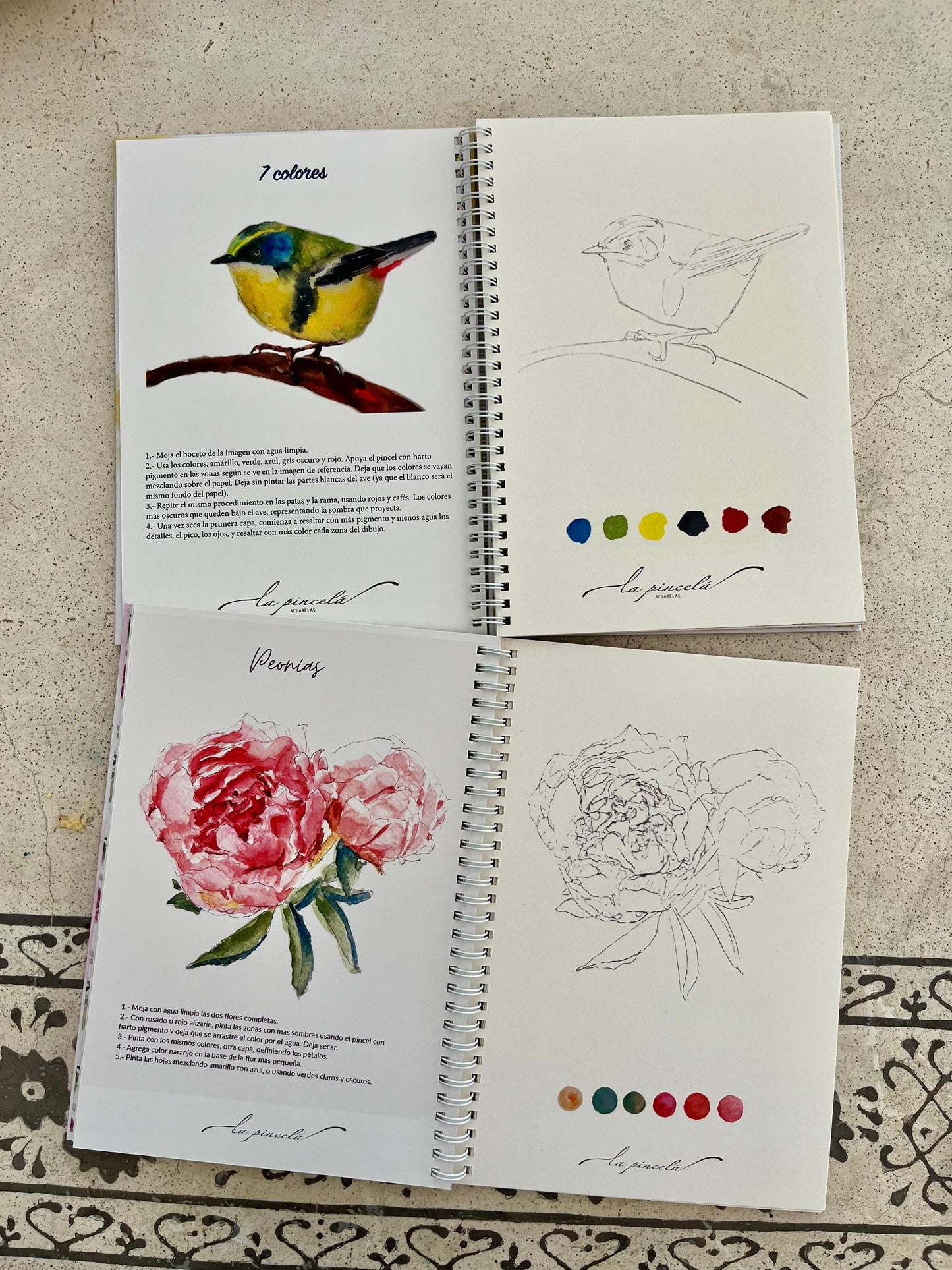 🕊️🌸 Pack Dúo Creativo – Libros Aves + Flores