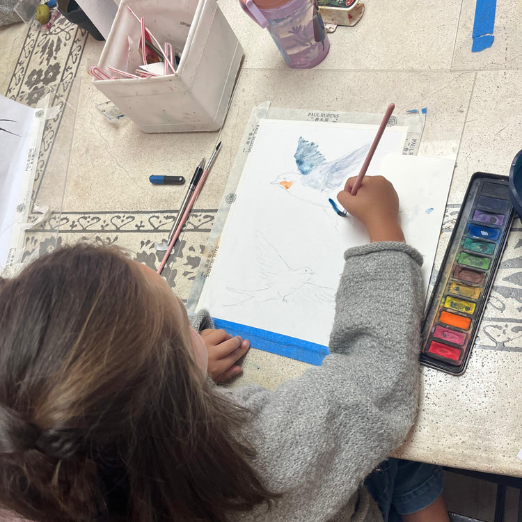 Talleres de Acuarela – Verano 2026