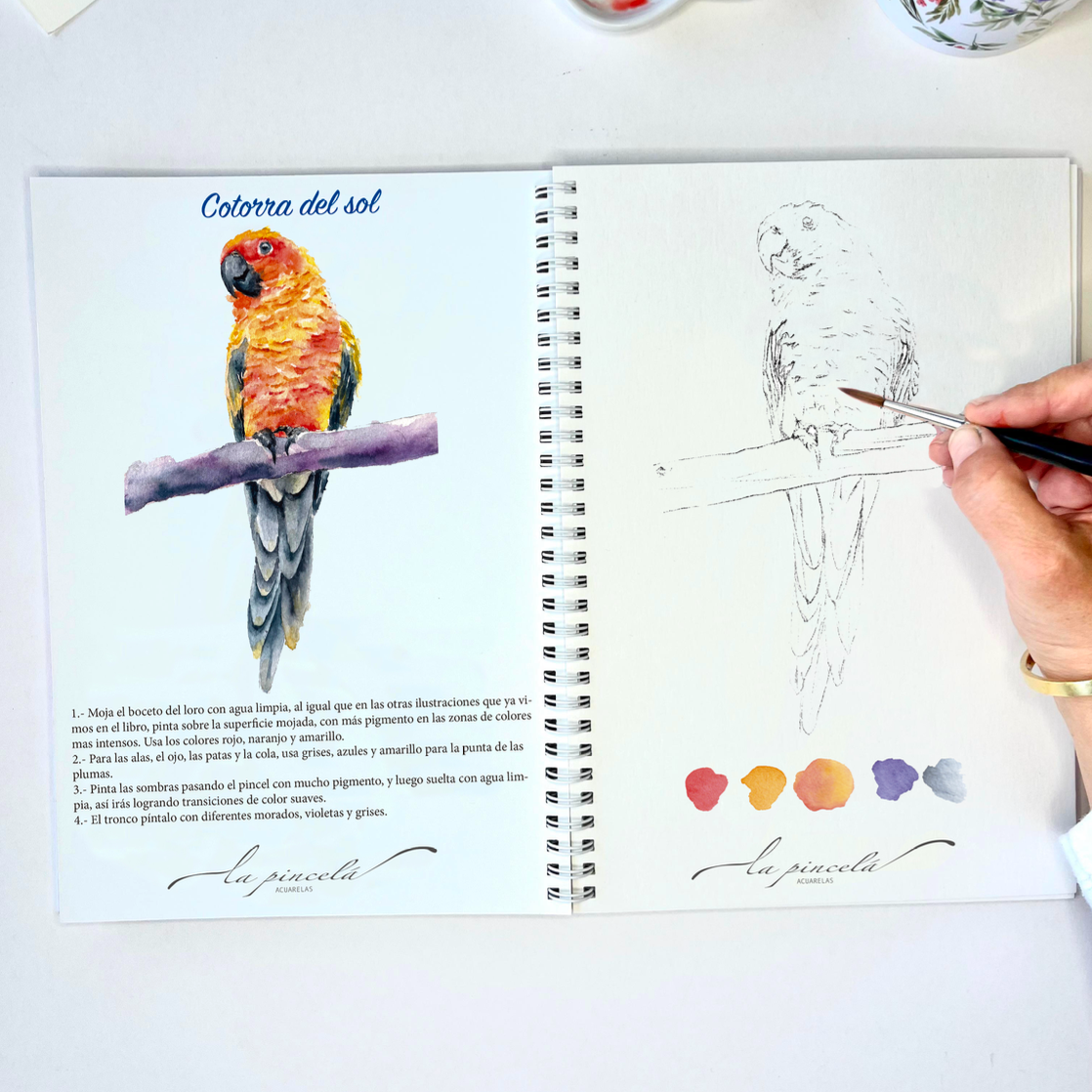 Aves – Libro de acuarela para pintar paso a paso - PREVENTA ABIERTA!