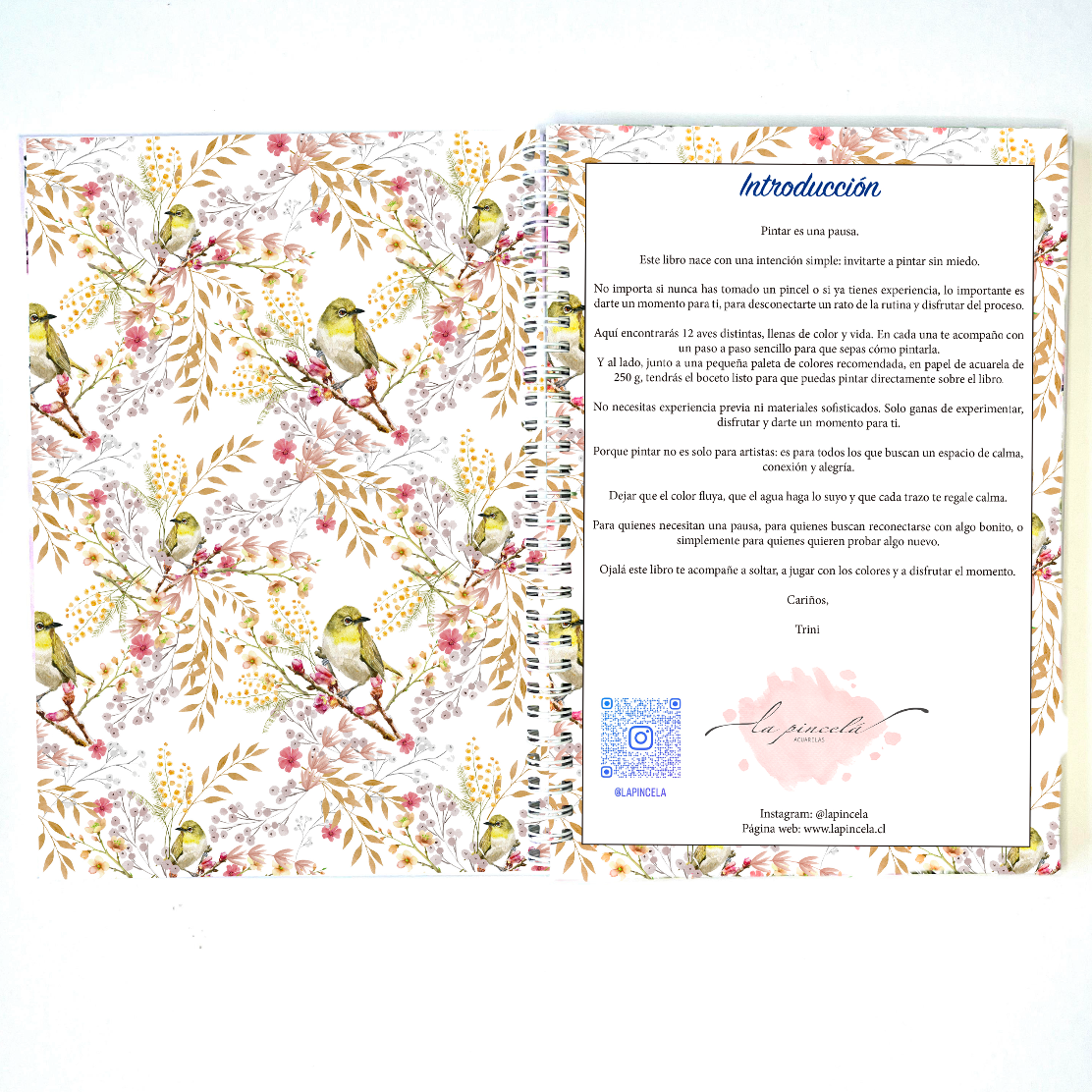 Aves – Libro de acuarela para pintar paso a paso - PREVENTA ABIERTA!
