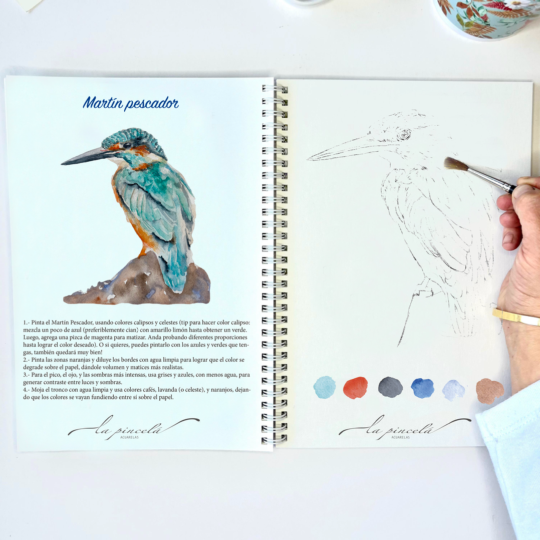 Aves – Libro de acuarela para pintar paso a paso - PREVENTA ABIERTA!