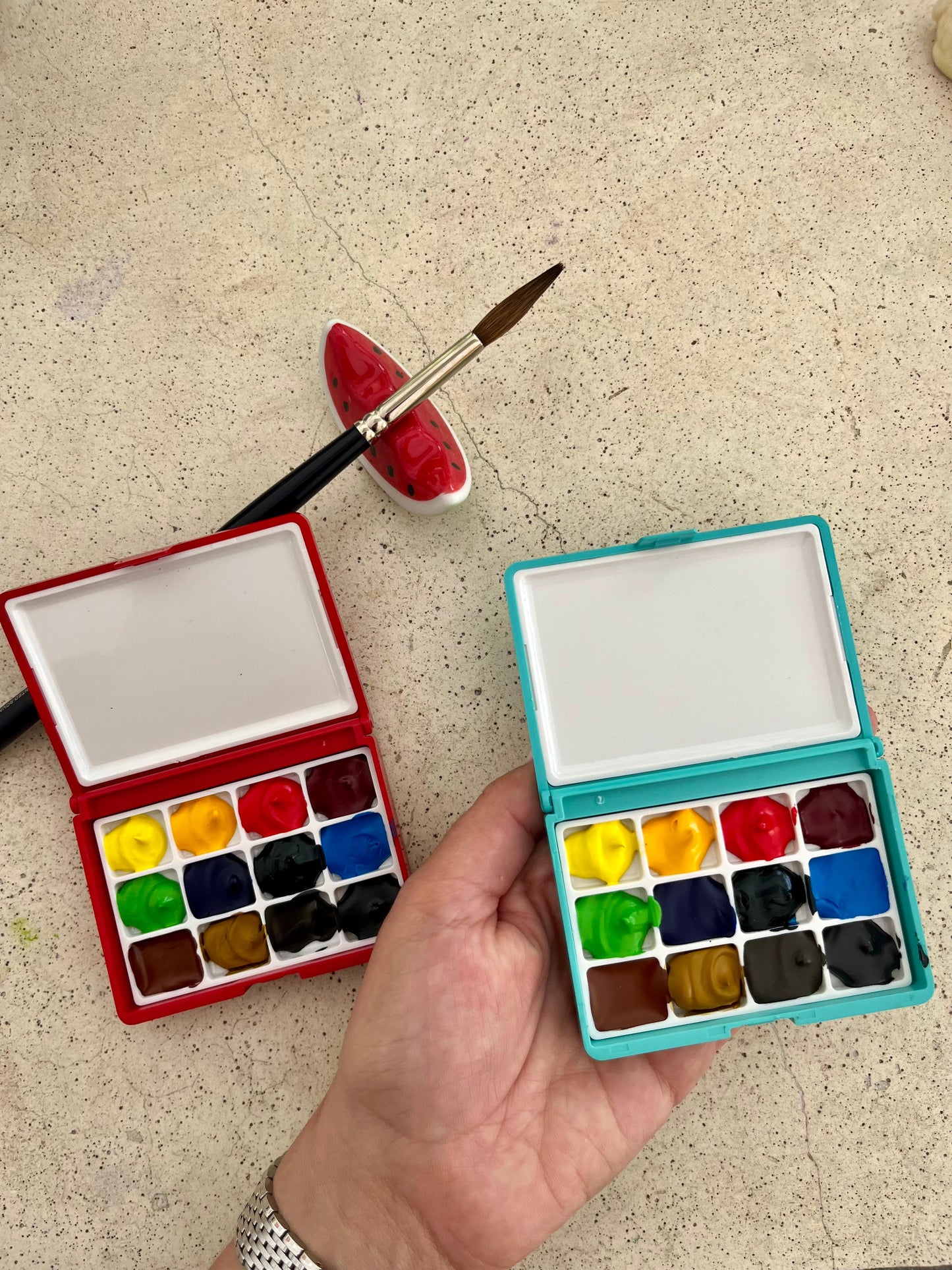 Paleta de Acuarelas Profesionales Holbein – 12 colores