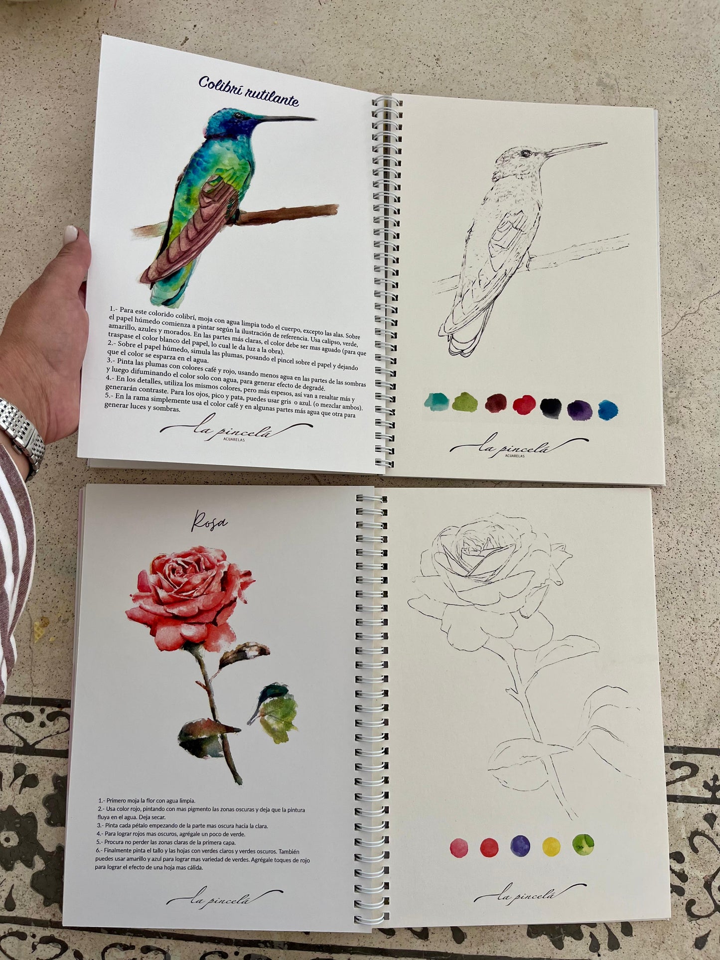 🕊️🌸 Pack Dúo Creativo – Libros Aves + Flores