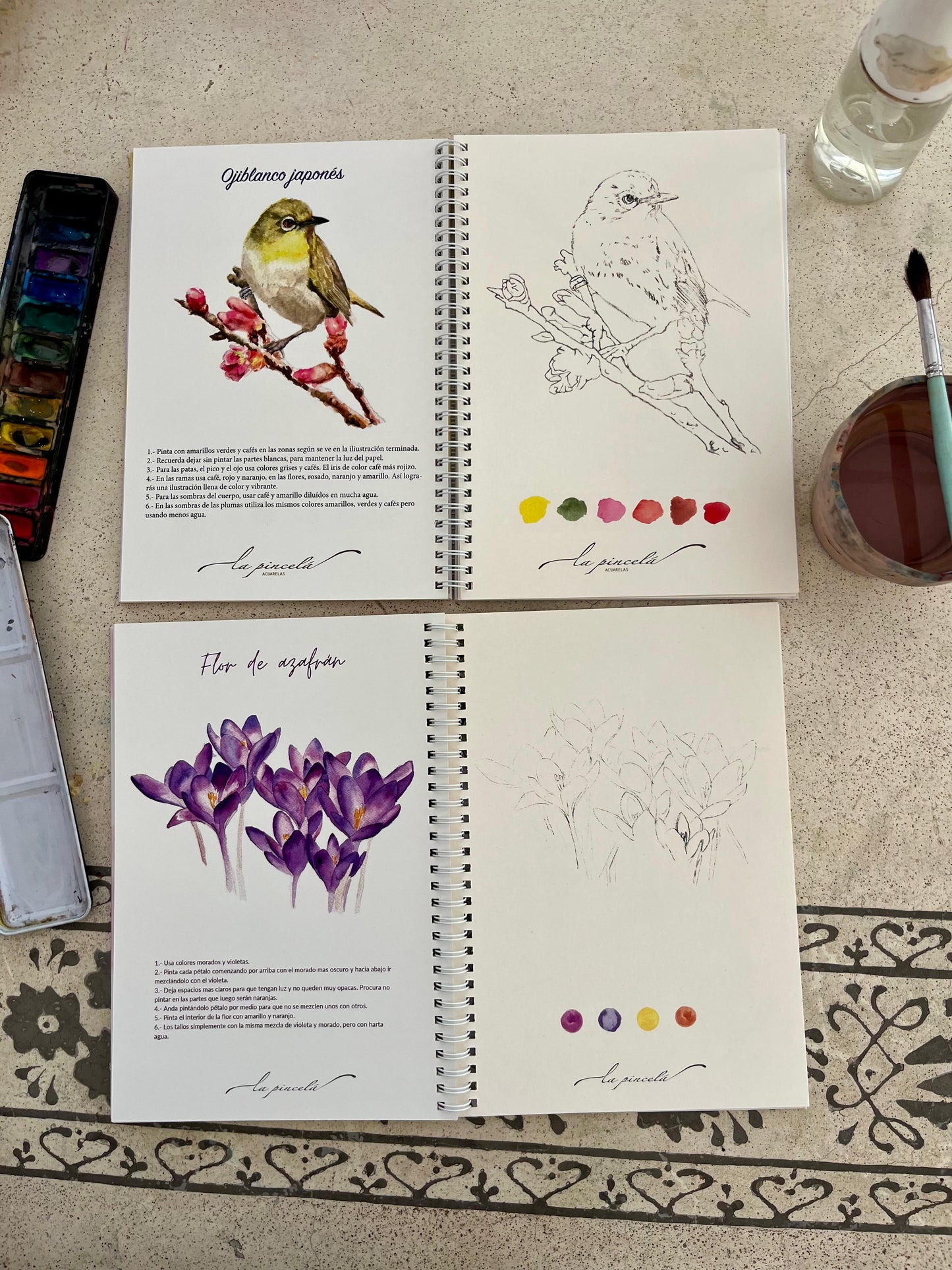 🕊️🌸 Pack Dúo Creativo – Libros Aves + Flores