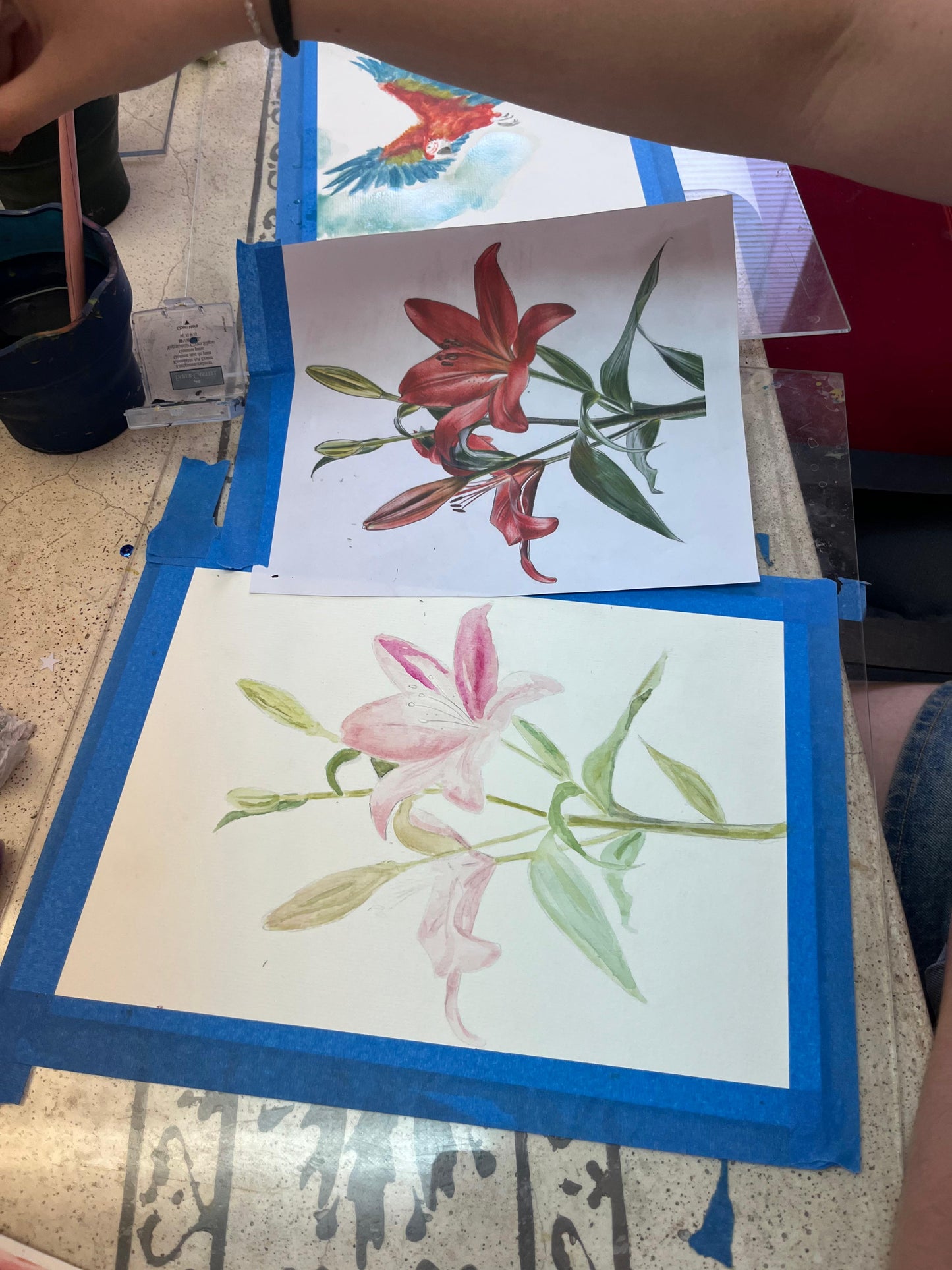 🎨 Taller de Acuarela Niños -  Programa 2026